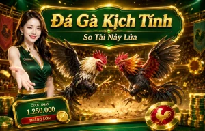 Sảnh Đá Gà Daga